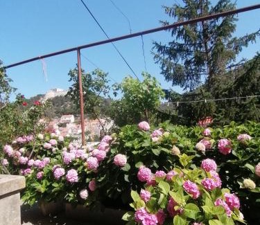 Hvar Old Town House | Guesthouse Bracanović