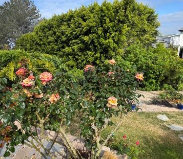 Del Mar Heights Apartment | Guesthouse in Coastal Del Mar, California