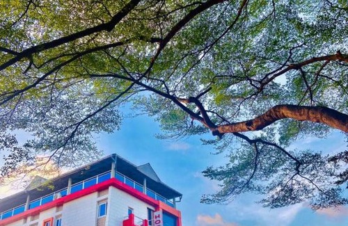 Littoral Department Hotel | HÔTEL NOAHGARDEN 2