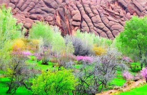 Ait Sedrate Jbel El Soufla Apartment | hôtel taghia imdaizine dades