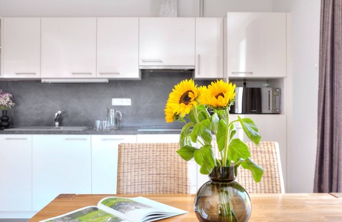 Damuels Apartment | Hölderle Damüls - mountain view #04