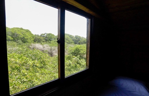 Bocachica Cabin | Habitación Frente al Manglar 2 Camas Individuales en Playa Blanca Isla Barú