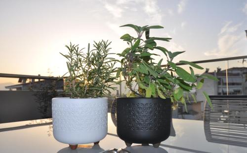 Trikala Apartment | Habitat Lobby