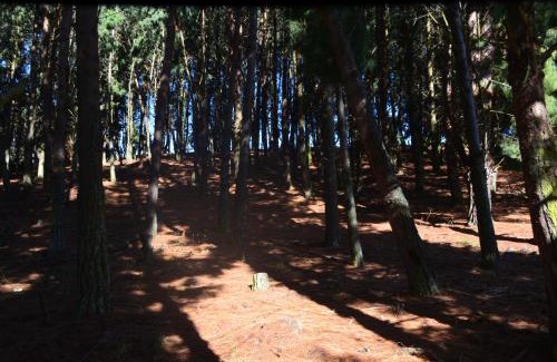 Subachoque Villa | Hacienda San Pedro Claver Subachoque