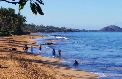 Kihei House | Hale Kamaole 266