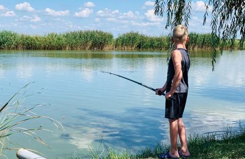 Gyoparosfuerdo Apartment | Happy Mammy Bababarát Apartmanház 1 - Hűvös utca