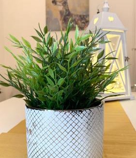 Gyoparosfuerdo House | Happy Mammy Bababarát Vendégház Fészek utca