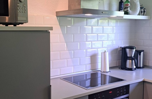 Hahnenklee House | "Haus am Karpfenteich" 90 sqm and 70 with tiled stove for 2-10 pers.