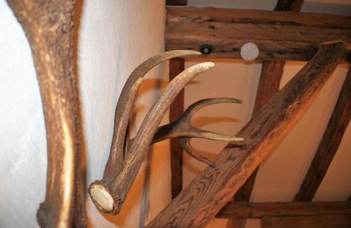 Sankt Anton am Arlberg Apartment | Haus Buchhammer