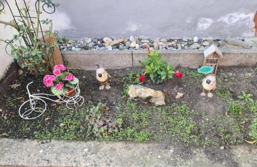 Kaimt Apartment | Haus Kurtrier