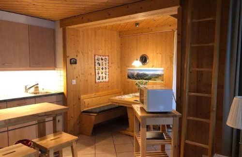 Hasliberg Reuti Apartment | Haus Pollux