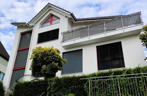 Hinwil House | Haus zur Lilie