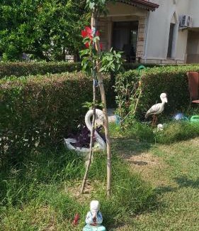 Evrenseki Apartment | Havuzlu Bahçeli Müstakil Villa