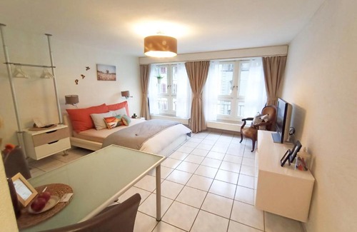 Grunes Quartier Apartment | Heart of Bern