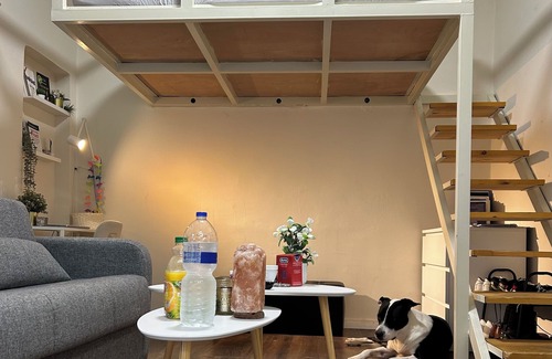 Rishon LeTsiyon House | heart of the city