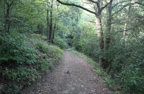 Meisenheim Apartment | Heimbach Charlet