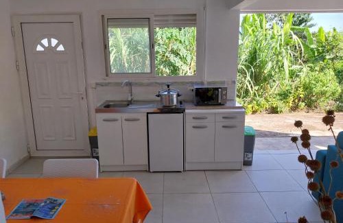 Bis Apartment | HELICONIA rostrata