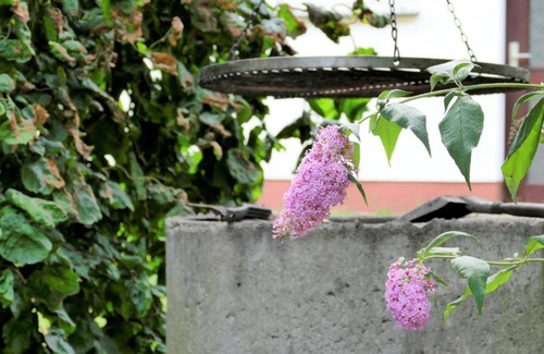 Feriendorf Silbersee House | Helles Ferienhaus im Landhausstil für bis zu 10 Personen