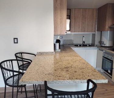 Mendoza City Center Apartment | Hermoso Dpto. en Torre Leloir, Seguridad 24 HS