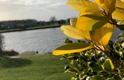 Burgh le Marsh Resort | Herons Mead Lodges