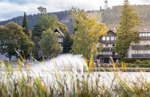 Hahnenklee House | Hexenglück Hahnenklee