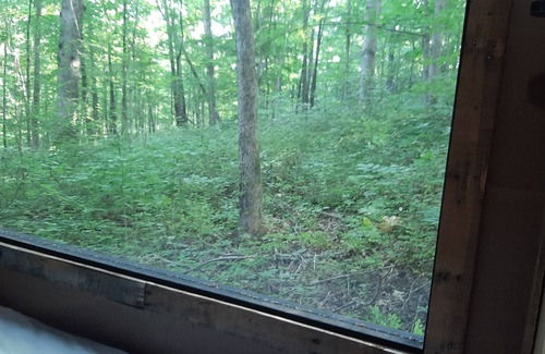 Mineralwells Cabin | Hike to your tiny cabin in the woods, we will leave the solar lights on for you.