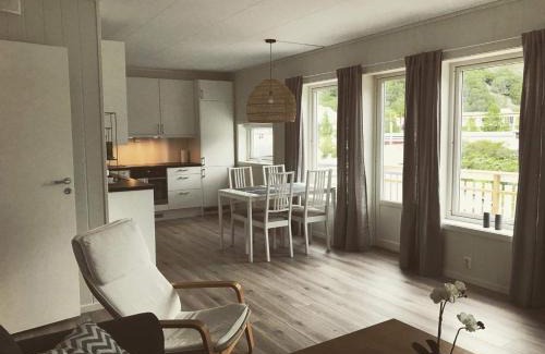 Laerdal Apartment | Hillegård