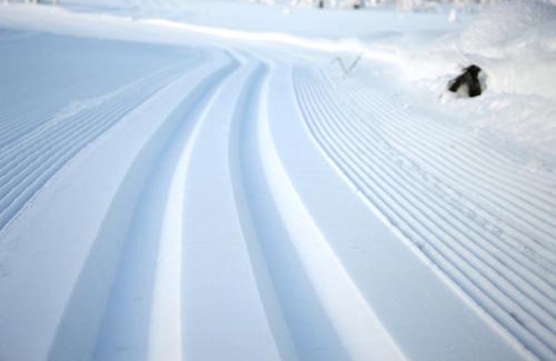Ljordal Apartment | Hjørnet - Fulufjellets nasjonalparker - snø - alpint - langrenn - snøscooter