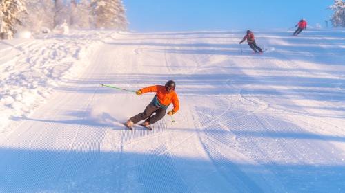 Ljordal Apartment | Hjørnet - Fulufjellets nasjonalparker - snø - alpint - langrenn - snøscooter