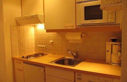 Dienten am Hochkoenig Apartment | Holiday apartment with pool and sauna in the house