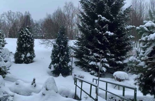 Rokytnice nad Jizerou Apartment | Holiday apartment in very beautiful surroundings