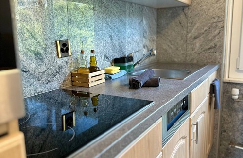 Randogne Apartment | Holiday apartment Crans-Montana (Ort) for 1 - 6 persons with 2 bedrooms - Holiday apartment in one o