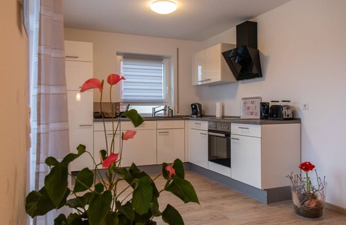 Fischbach Apartment | Holiday Apartment "Drossel" with Balcony & Wi-Fi