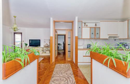 Kali Apartment | Holiday apartment Kali - Ugljan island