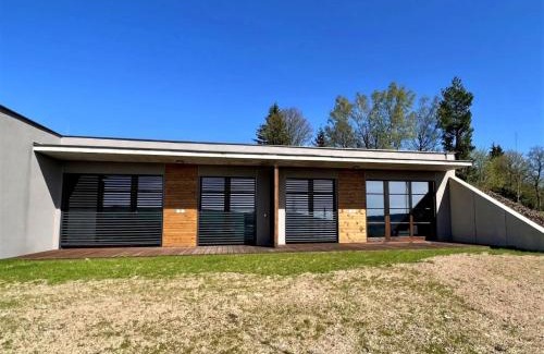Ricky v Orlickych horach House | Holiday Home Říčky F38 by Interhome