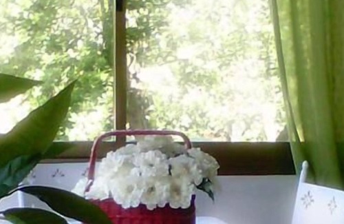 Tirrenia House | Holiday house Pisa for 1 - 6 persons with 2 bedrooms - Holiday home