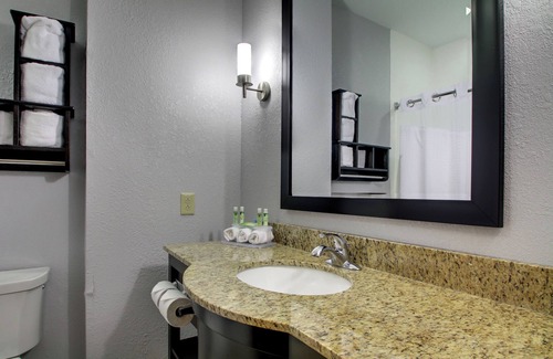 Natchez Hotel | Holiday Inn Express Hotel & Suites Natchez South by IHG