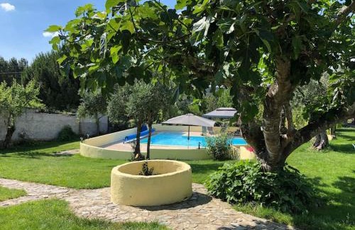 Pinheiro de Coja House | Holidayhome with bar and swimming pool