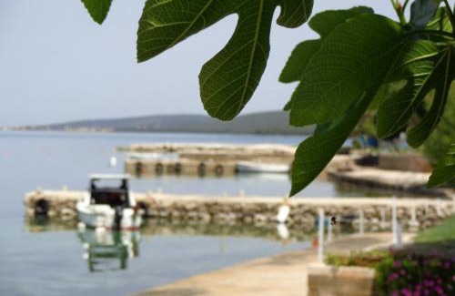 Sveti Petar Bed & Breakfast | Hollywood rooms