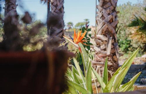 Fontanelle Apartment | Home Fontanelle