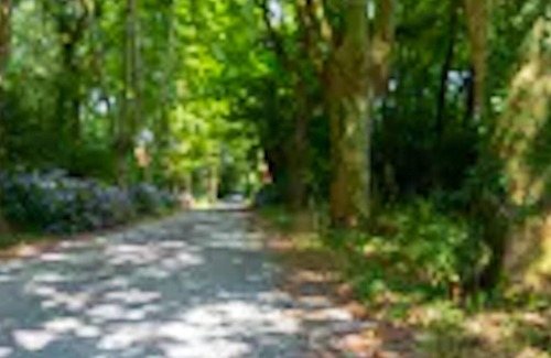 Saint-Jean-de-Marsacq Villa | Homerez - Big villa for 19 ppl. with swimming-pool at Saint-Jean-de-Marsacq