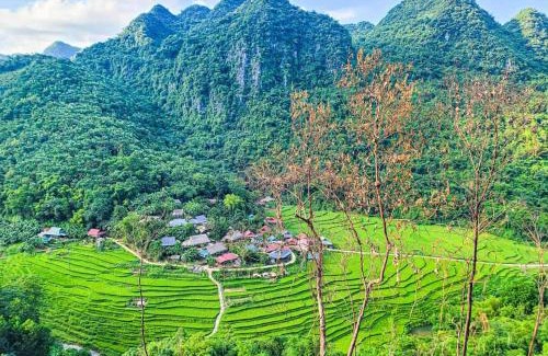 Pu Long Nature Reserve Apartment | Homestay Khánh Pù luông