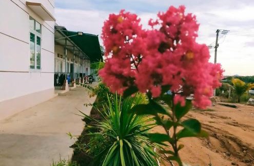 Van Ninh House | Homestay Vạn Hưng