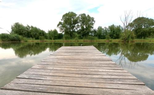 Vadu Crisului Other | Honey Tiny Home