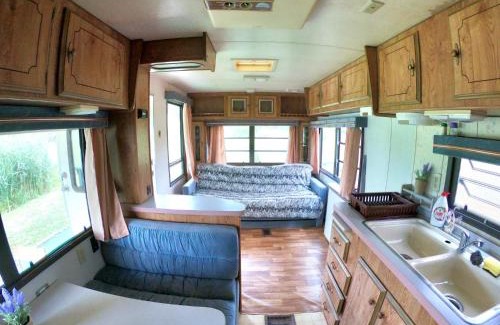 Vadu Crisului Other | Honey Tiny Home