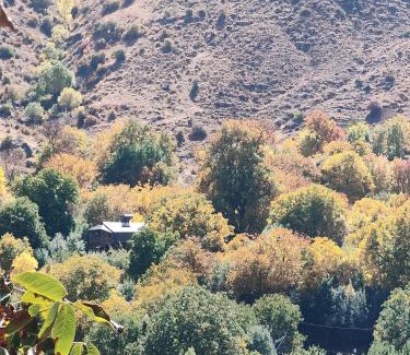 Vayots Dzor Province Apartment | Hors's Home