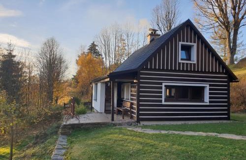 Olesnice v Orlickych horach Ski Chalet | horská chata Cecilie