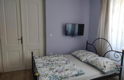 Ceska Skalice House | Hortenzie