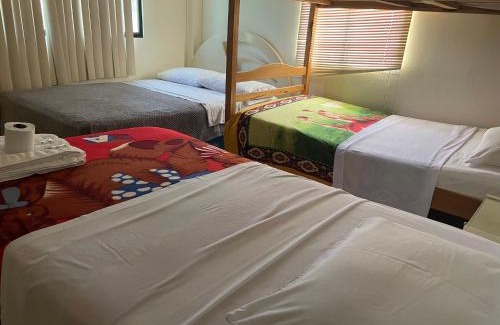 Ecuadorian Amazon House | Hostal Terramar Salinas