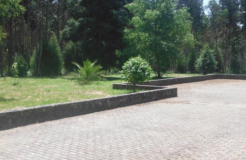 Cacia Hotel | Hotel Alameda